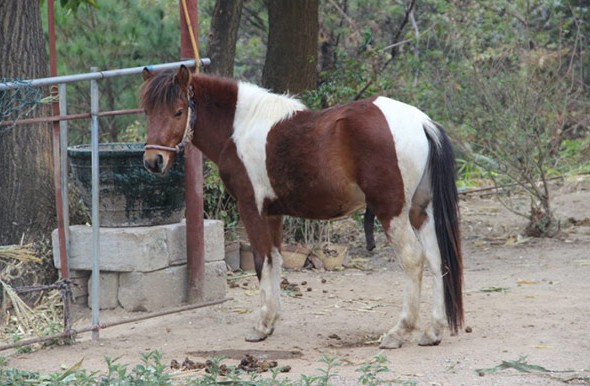 星空·综合体育_
鲁能2(图8) 星空综合