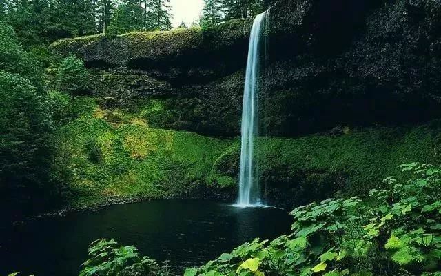 星空·综合体育:夏宝龙李强实时指挥救援工作:不放过一丝一毫希望(图2) 星空综合