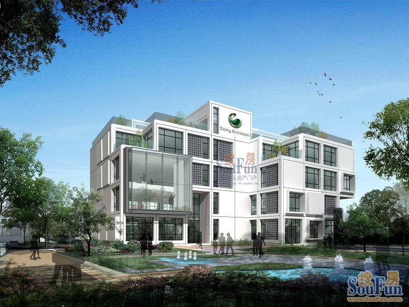 府东社区开展文明劝导服务队活动-星空·综合体育(图4) 星空综合