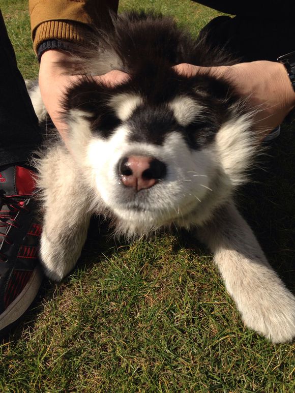 豪取三连胜!本赛季中甲最大黑马出炉 最强升班马搅局冲超局势‘星空综合’(图7) 星空综合