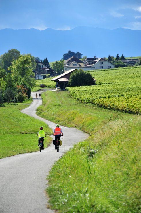 星空·综合体育