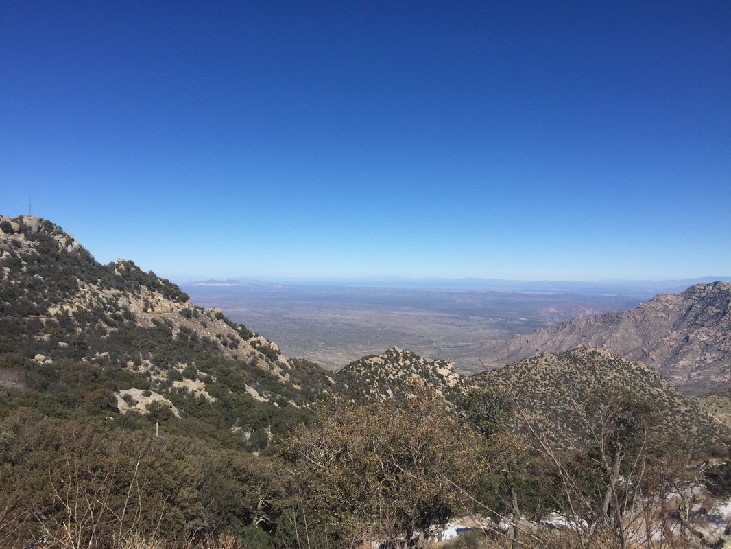 星空·综合体育