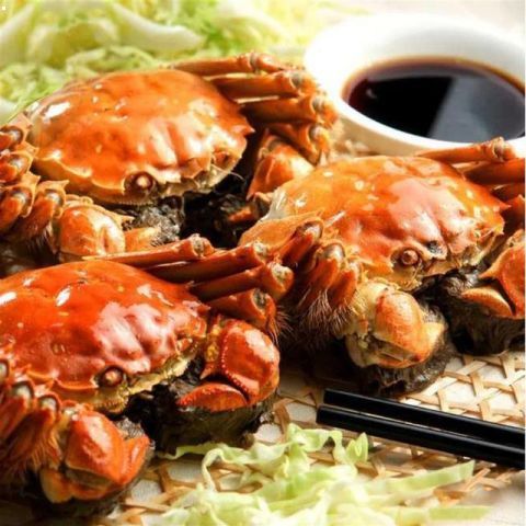 星空·综合体育