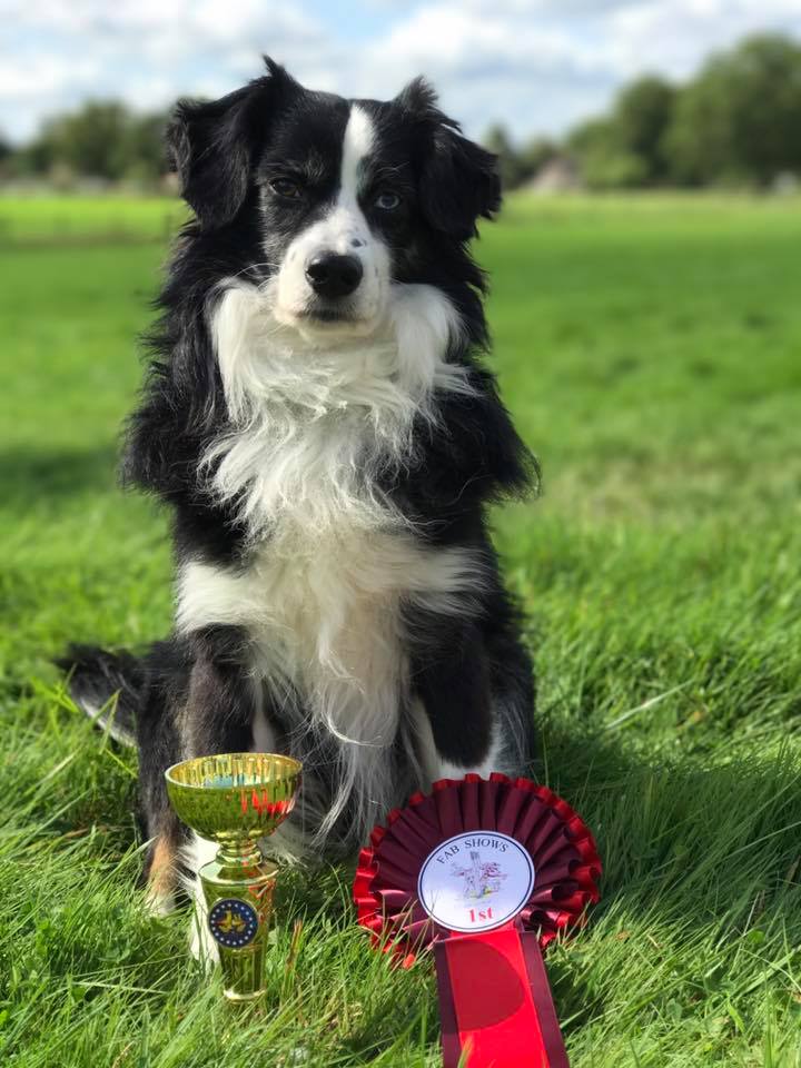 星空·综合体育-文艺演出带“热”新疆博湖乡村农闲生活(组图)
