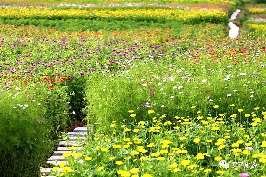 星空·综合体育