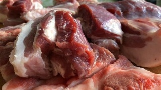 星空·综合体育