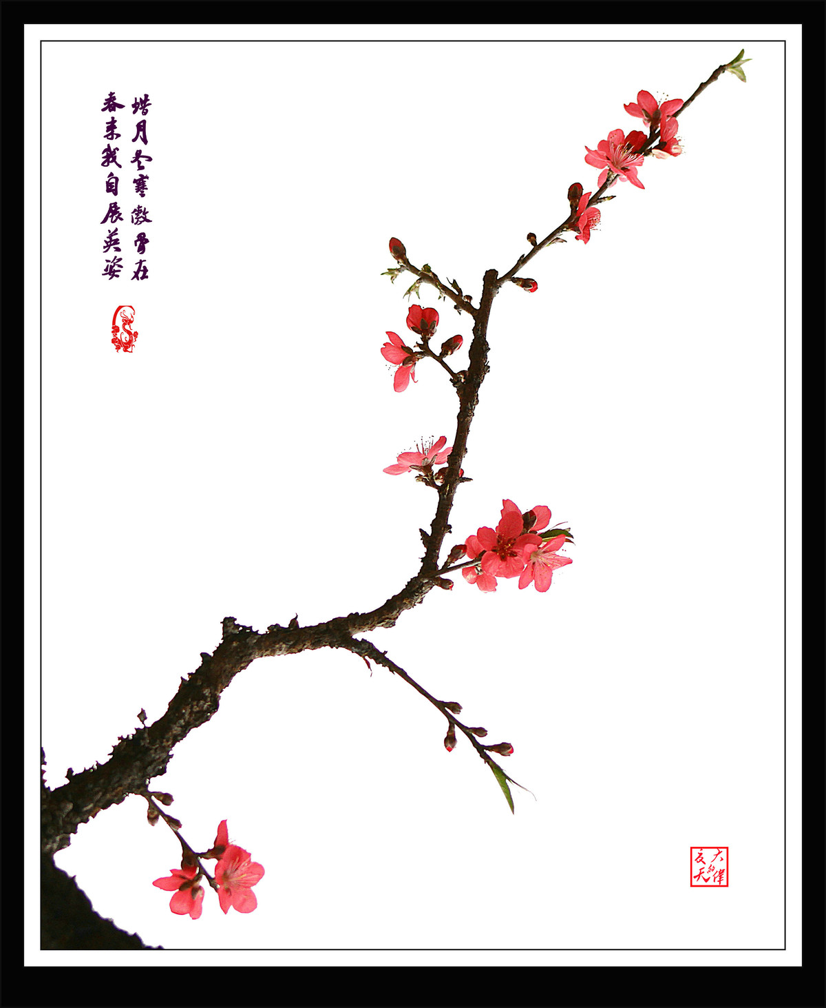 康安路38幢旁的山石发生了崩塌-星空综合