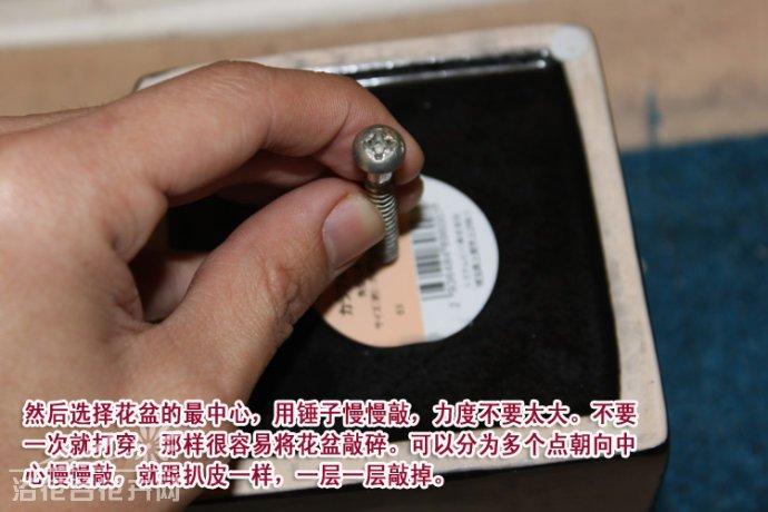 “就近办、马上办”便民服务进社区【星空综合】(图2) 星空综合